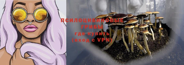 таблы Алексеевка