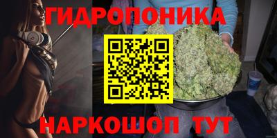 ECSTASY Донской