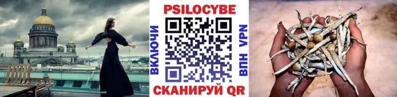 блэк спрут маркетплейс  Нижнеудинск  Галлюциногенные грибы мицелий 