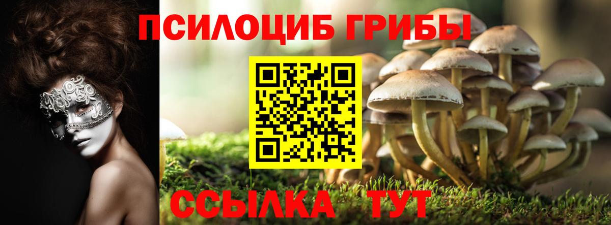 Галлюциногенные грибы GOLDEN TEACHER Нижнеудинск
